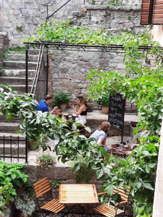 Bed & Breakfast Antico Motovun Ngoại thất bức ảnh