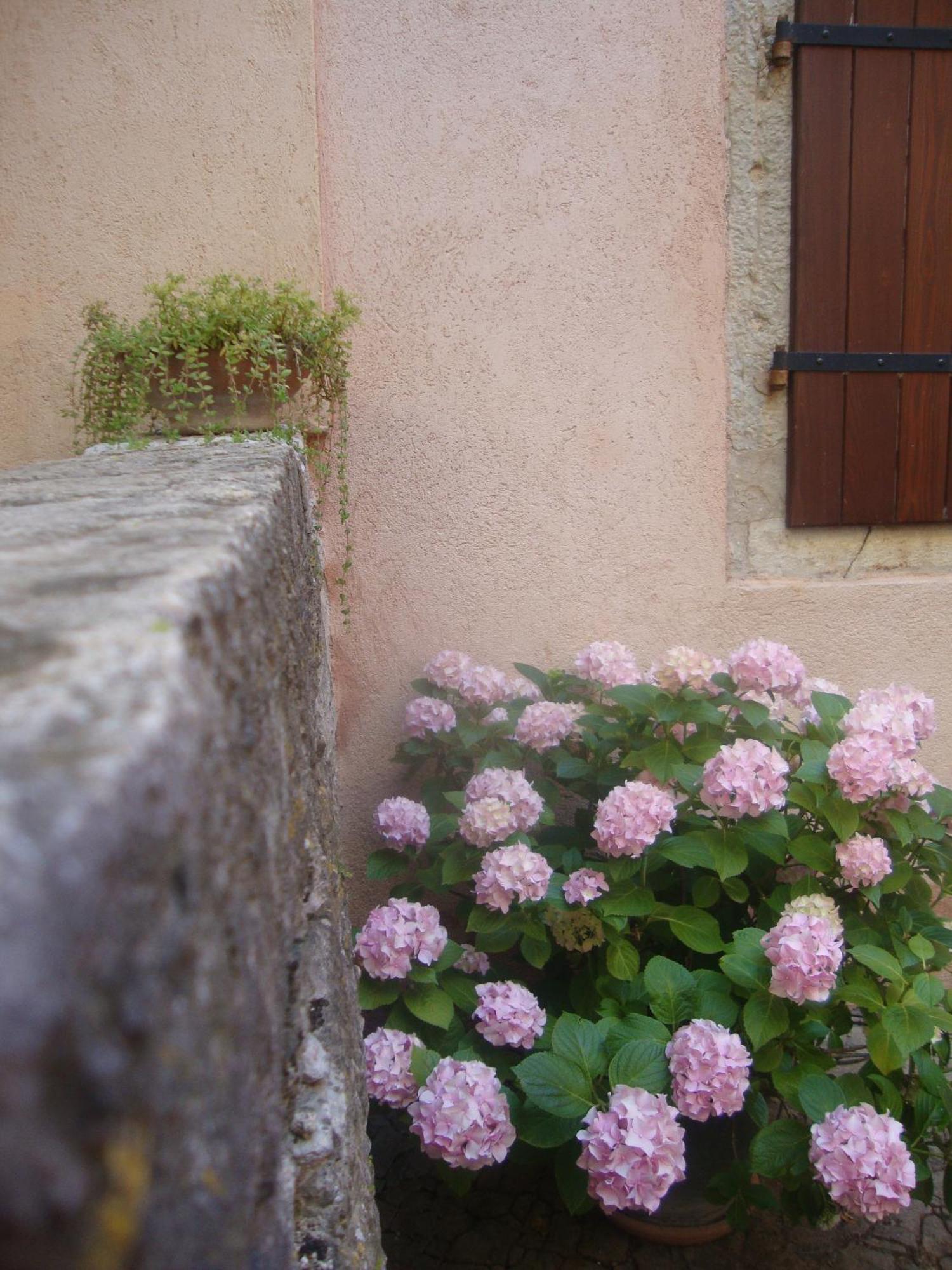 Bed & Breakfast Antico Motovun Ngoại thất bức ảnh