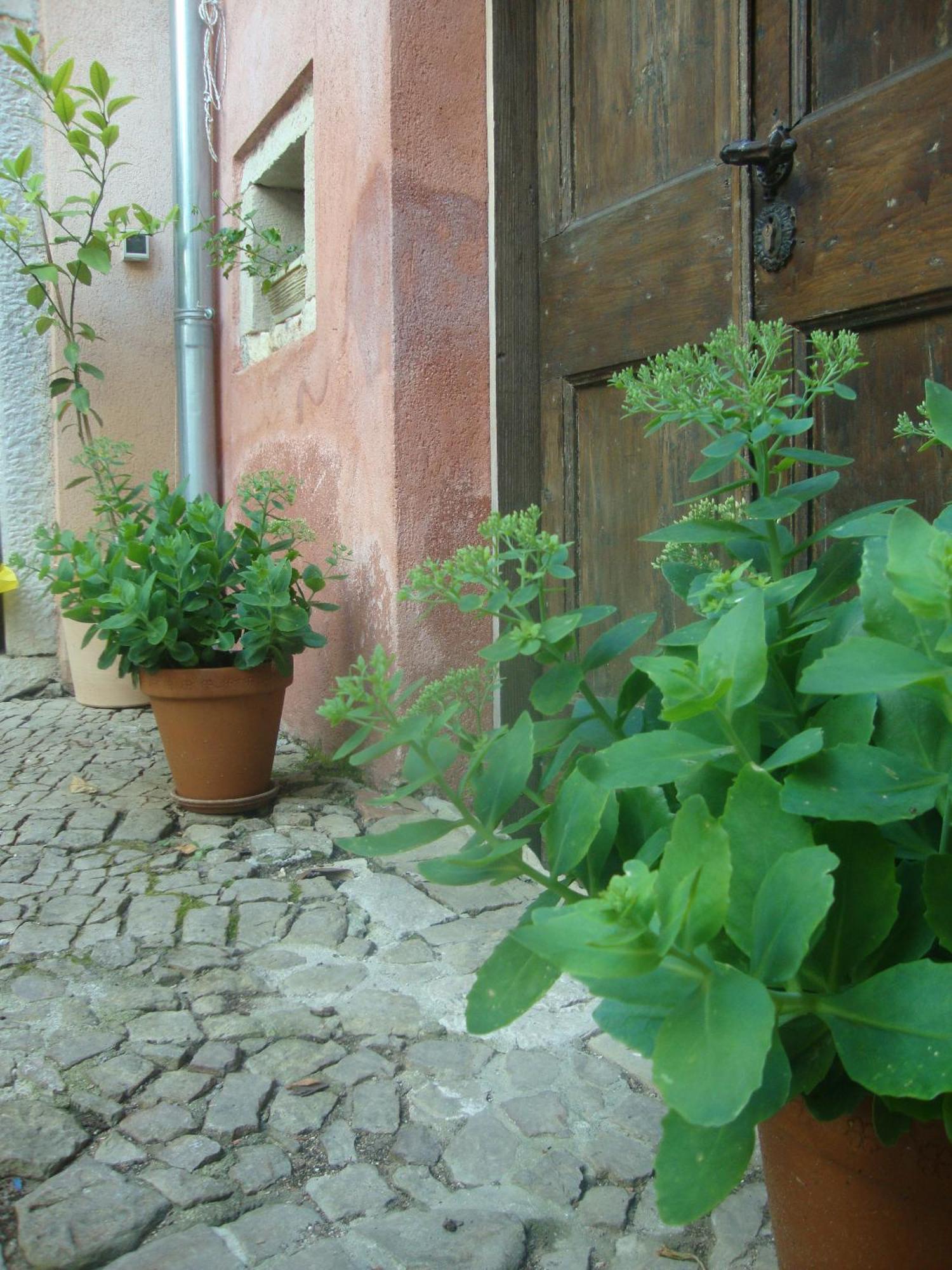Bed & Breakfast Antico Motovun Ngoại thất bức ảnh